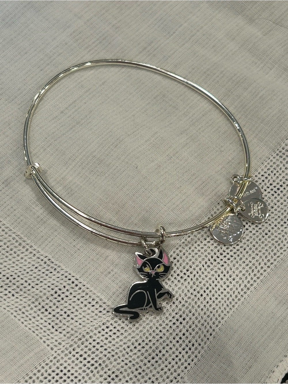 Alex and Ani & Disney Parks “Binx” Hocus Pocus bangle in Silver